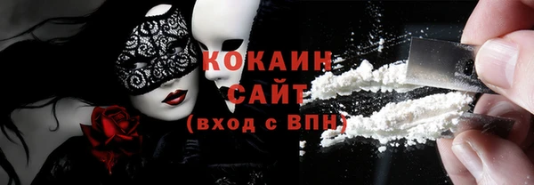 эйфоретик Няндома