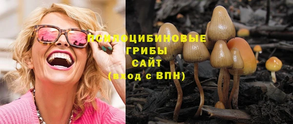прущие крисы Нязепетровск