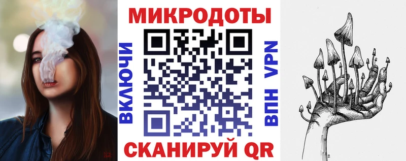 Псилоцибиновые грибы Psilocybine cubensis  Алексин 