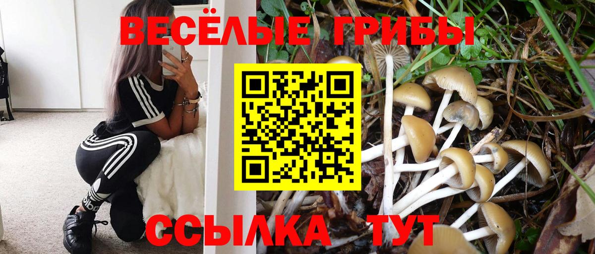 Галлюциногенные грибы Cubensis  Вход с VPN  Алексин  Псилоцибиновые грибы ЛСД 