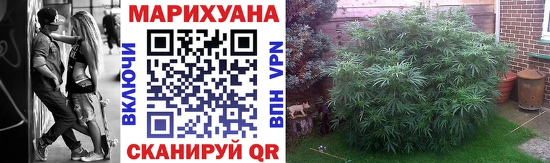 Канабис VHQ shop какой сайт Алексин купить наркотик MEGA tor