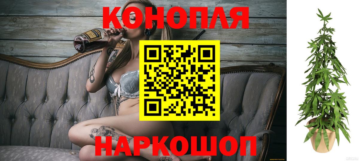 Конопля White Widow  Канабис планчик  Алексин  Вход с VPN 